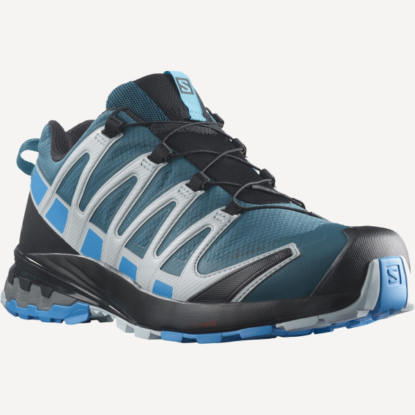 Кроссовки XA PRO 3D v8 GTX (RU 45.5 UK 11.5 USm 12 СМ 29.5; legion/blithe/prl)